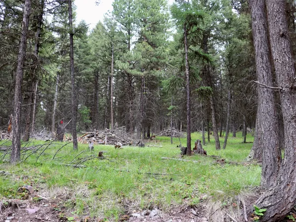 1016 Grandview Dr, Seeley Lake, MT 59868