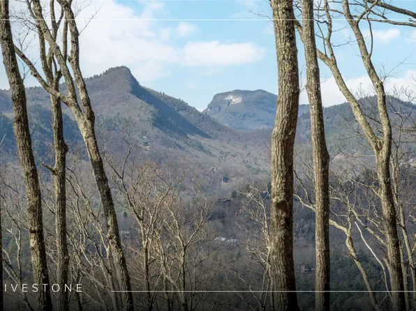 41 ac Trussing Terrace, Sapphire, NC 28774