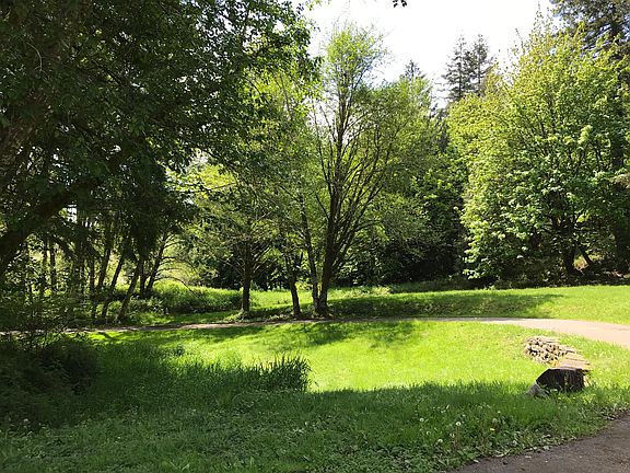 View from Driveway 