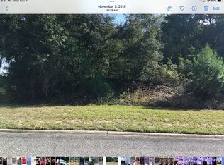 592 River Hill Dr, Welaka, FL 32193