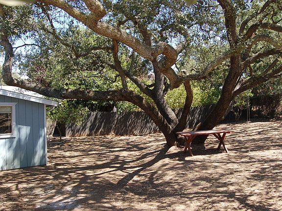 Fenced, Tree covered rear yard
