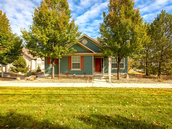 4169 Buffalo Mountain Dr, Loveland, CO 80538
