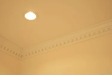 Rented by Distinct NYC