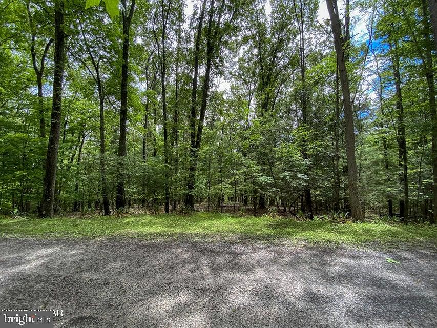 2nd image of Serge Mountain Rd