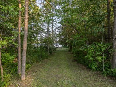 State 84 Hwy, Longville, MN, 56655