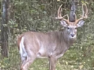 3415 County Hwy N, Barnes, WI 54873