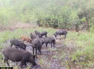 0 County Line & Pne, Lee, FL 32059