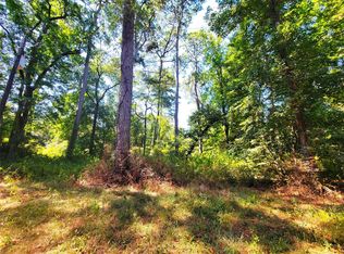 Mockingbird Ln, Shepherd, TX 77371