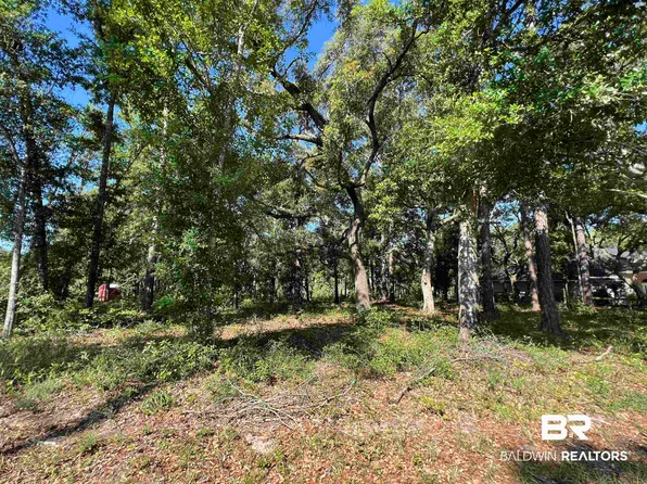 9545 N Bayou Rd, Lillian, AL 36549