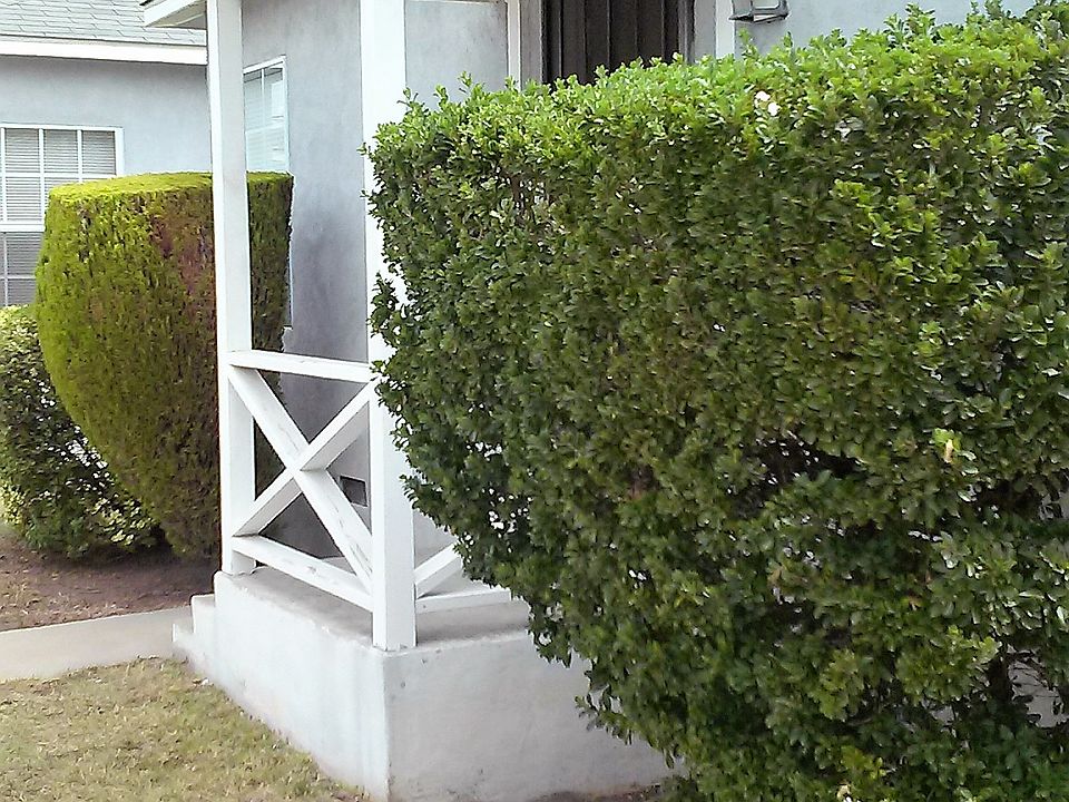 1st image of 1717 Marine Ave