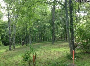 56369 Pfeffer Rd, Quaker City, OH 43773