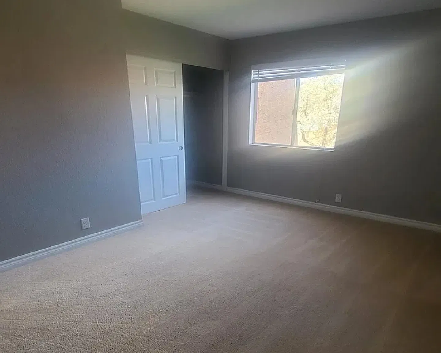1 bed, 700 sqft, $1,190 — Photo 3