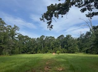 18163 Balfantz Rd, Springfield, LA 70462