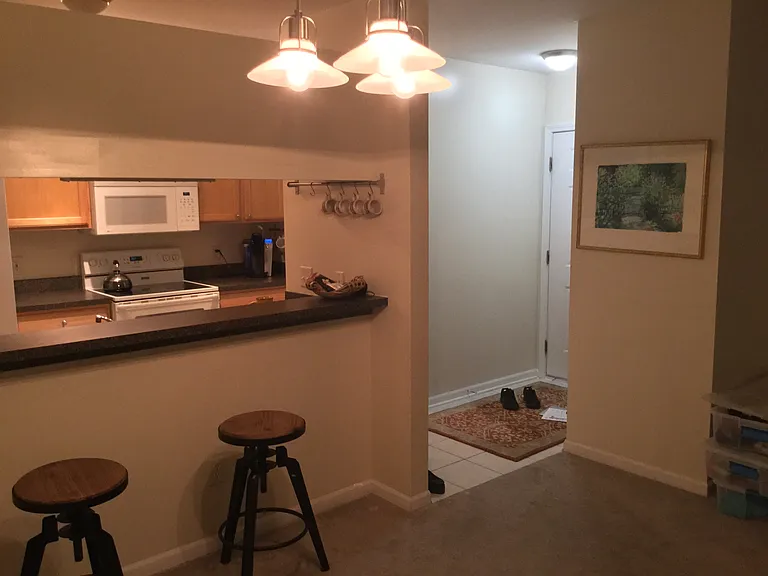 1123 Joyce Ln — Photo 5