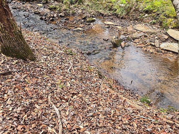 2nd image of 8.5 Blue Berry Rdg