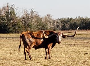 8500 Fm 2004, Hitchcock, TX 77563