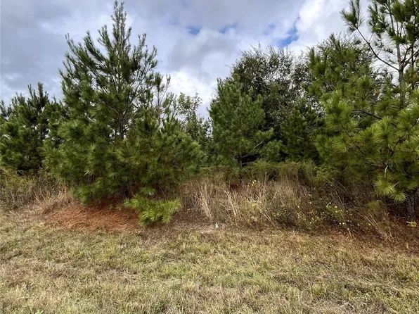 499 County Road 5017, Cleveland, TX 77327