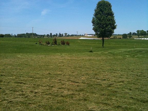 view from back facing road L