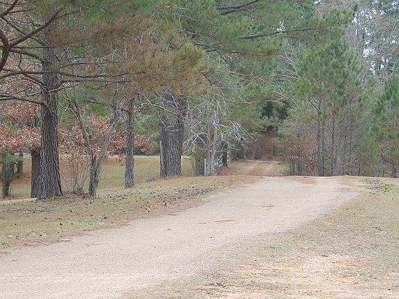 5th image of 7356 County Road 211