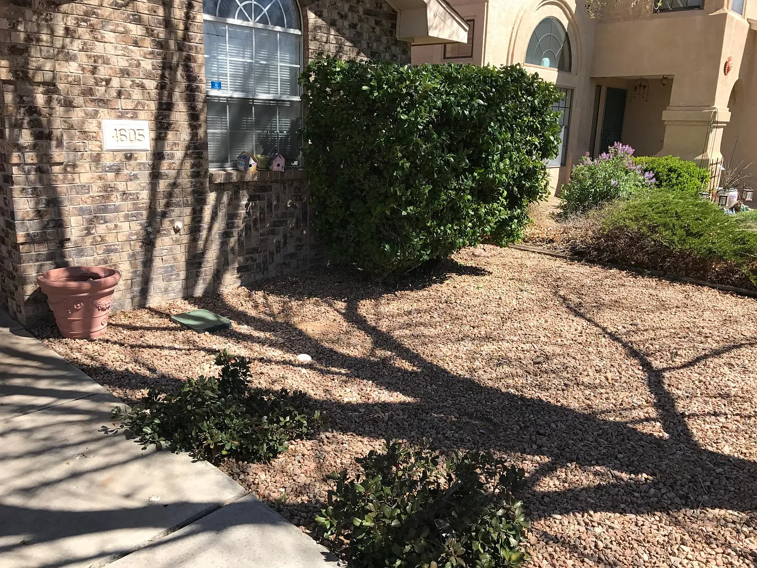 3 bed, 1680 sqft, $2,200 — Photo 4