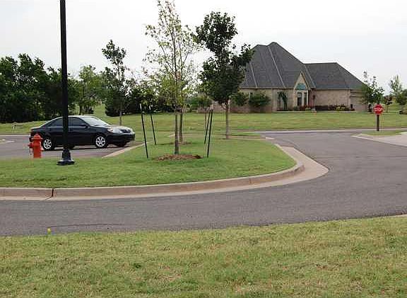 4th image of 3313 NW 167th Cir Lot 205
