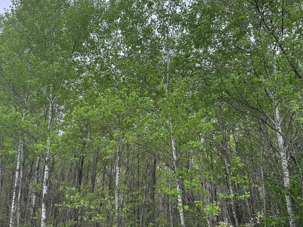 Burrows Lake Rd Lot 7, Tomahawk, WI 54487