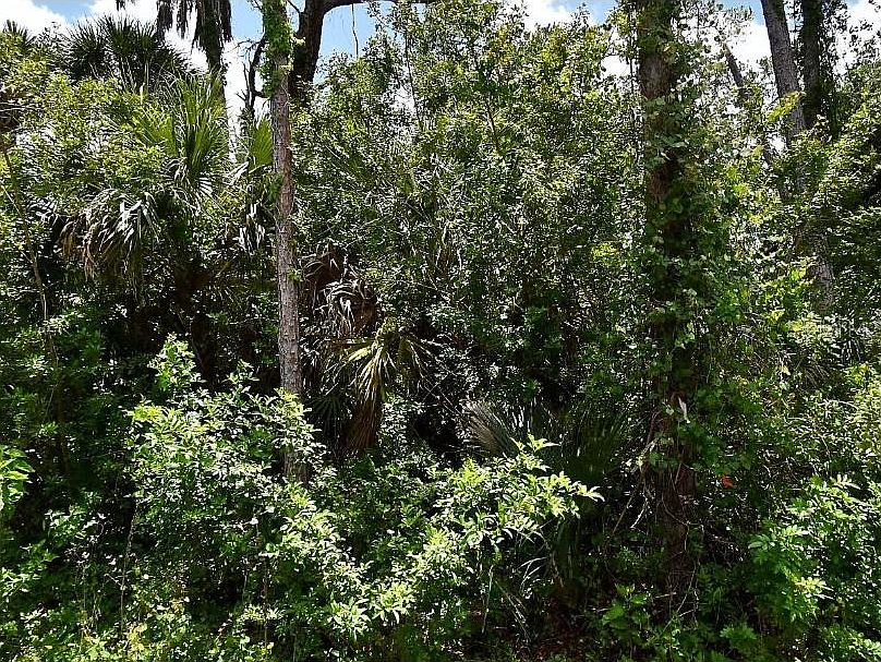 1st image of NUMERA AVENUE LOT 1