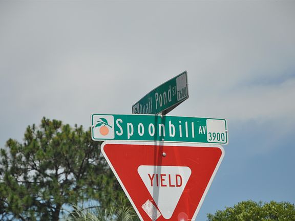 5th image of 4028 Spoonbill Ave