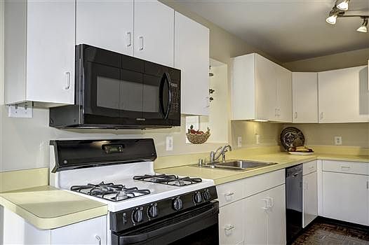 5th image of 4016 Nelly Custis Dr