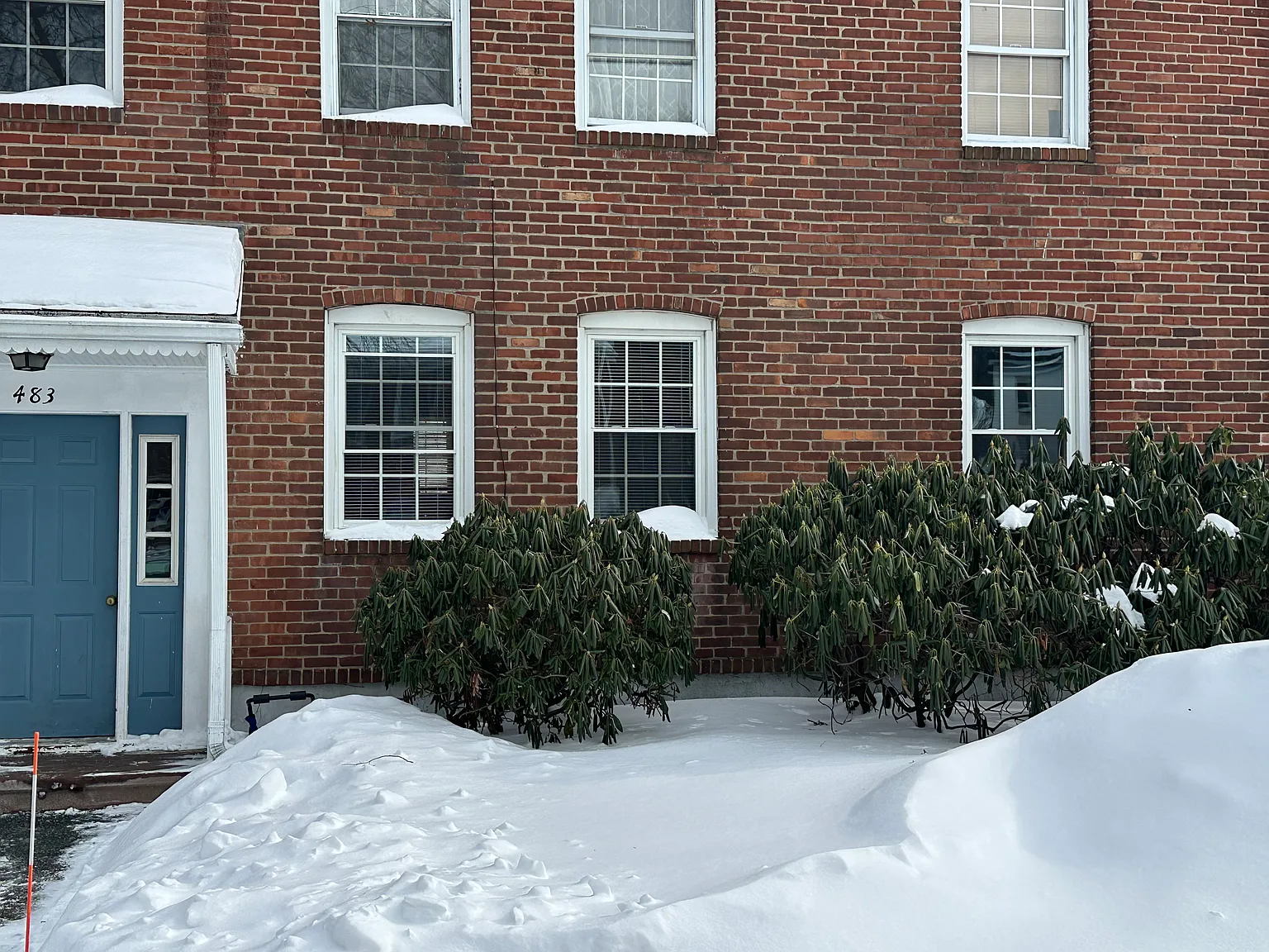 2 bed, 541 sqft, $1,600 — Photo 2