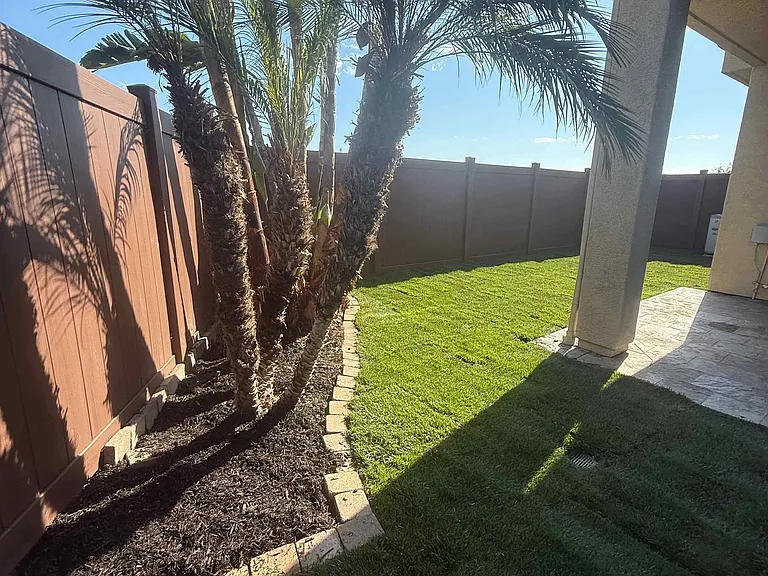 Backyard w/ new grass