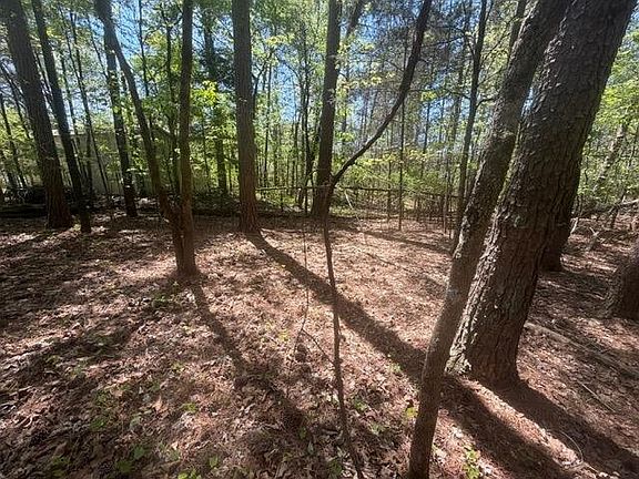 3rd image of 8 Elkmont Rd NW