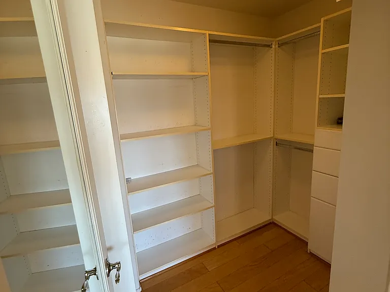 Walk In Closet in Master #2