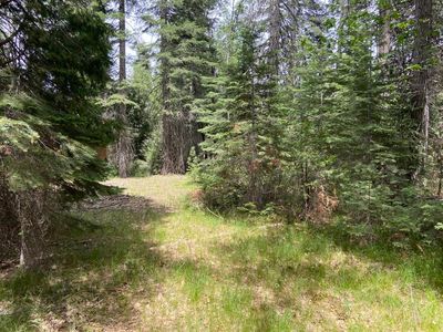 1-A-5 Mount Shasta Dr, McCloud, CA, 96057