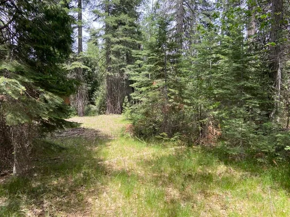 1-A-5 Mount Shasta Dr, McCloud, CA 96057