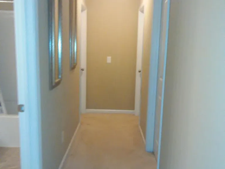 311 Connor Ct — Photo 9