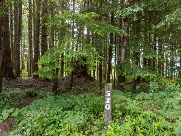 520 Oceanview Ln, Gleneden Beach, OR 97388
