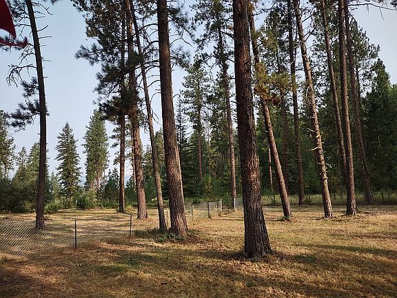 Back yard looking north.