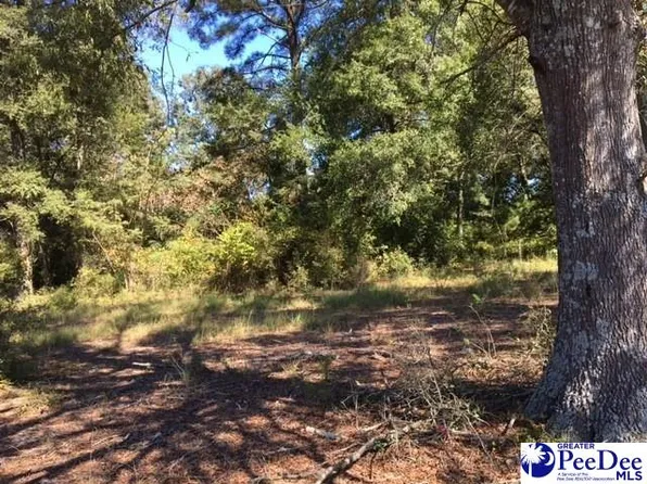 Auburn School Rd, Darlington, SC 29540