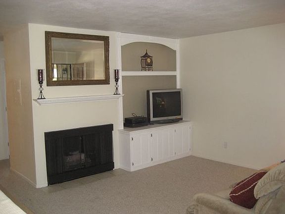 Fireplace w/ Built In Media Niche