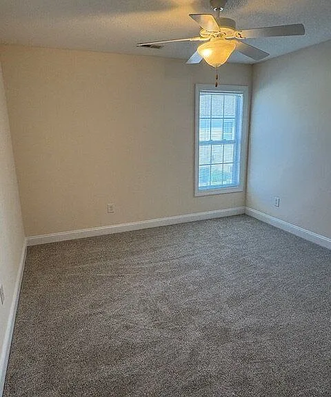 4205 Dudleys Grant Dr — Photo 10
