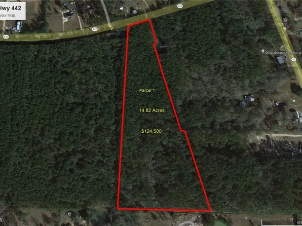 PARCEL 1 Highway 442, Albany, LA 70711