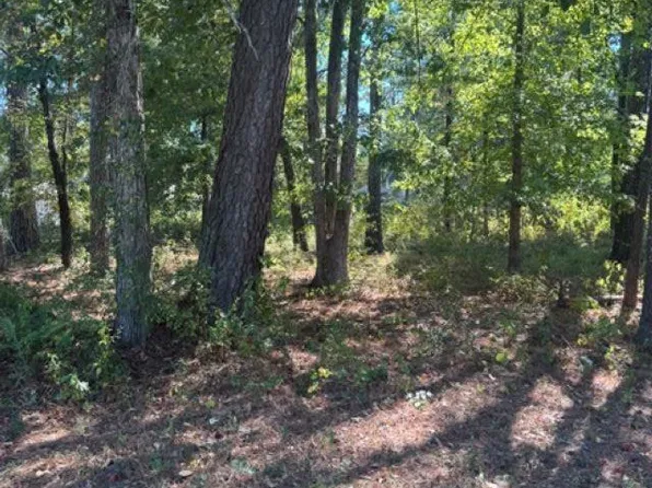 0 Glenwood Dr, Monticello, AR 71655