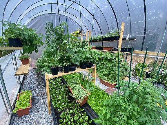 Greenhouse with woodstove