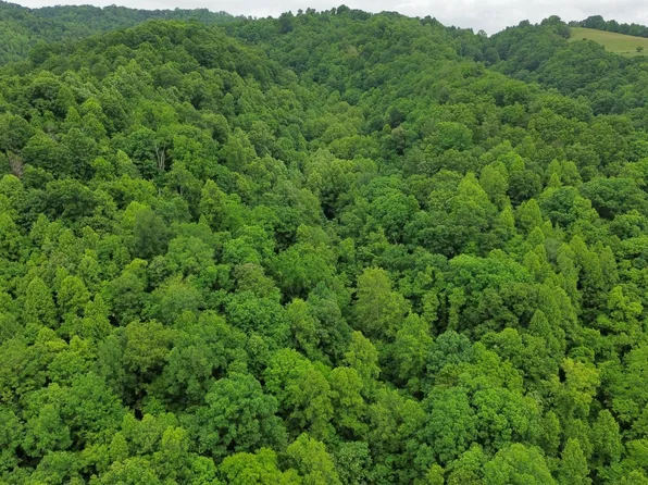 Tbd Boozy Creek Rd, Bristol, VA 24202