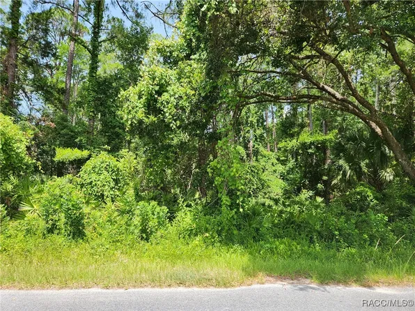 0 Olson Rd, Spring Hill, FL 34607