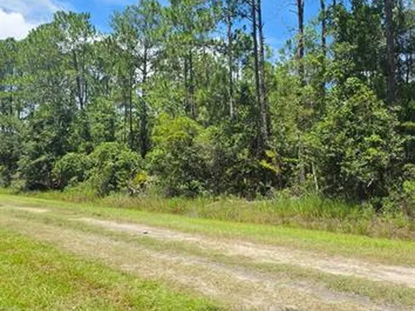 4220 ISAAC STREET, HASTINGS, FL 32145