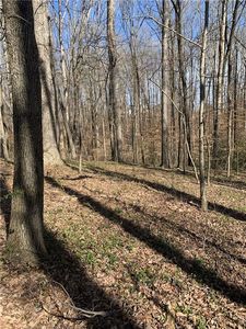 0 Freehome Hwy #1, Canton, GA, 30115