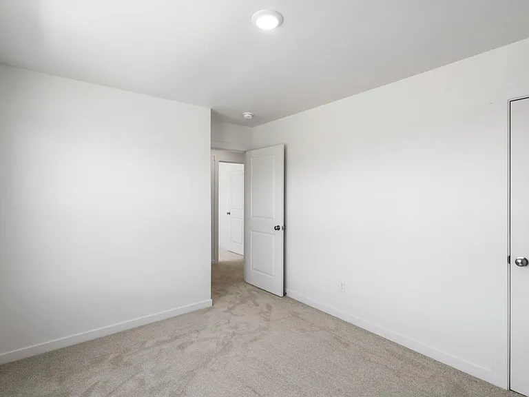 804 Accolade Loop — Photo 24