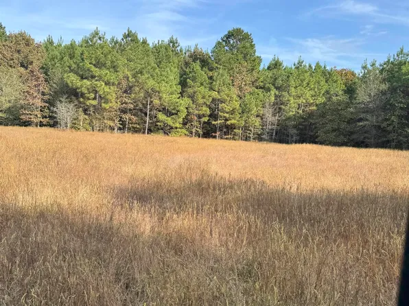 S 476th, Henderson, TX 75654